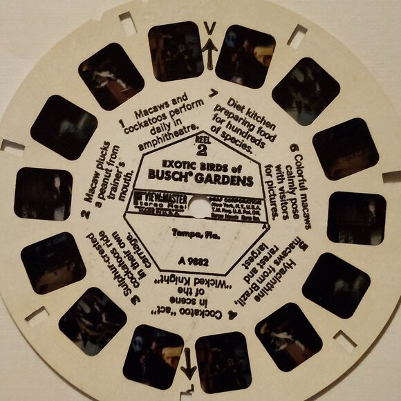 VINTAGE View Master BUSCH GARDENS REELS x 3 - Picture 3 of 5